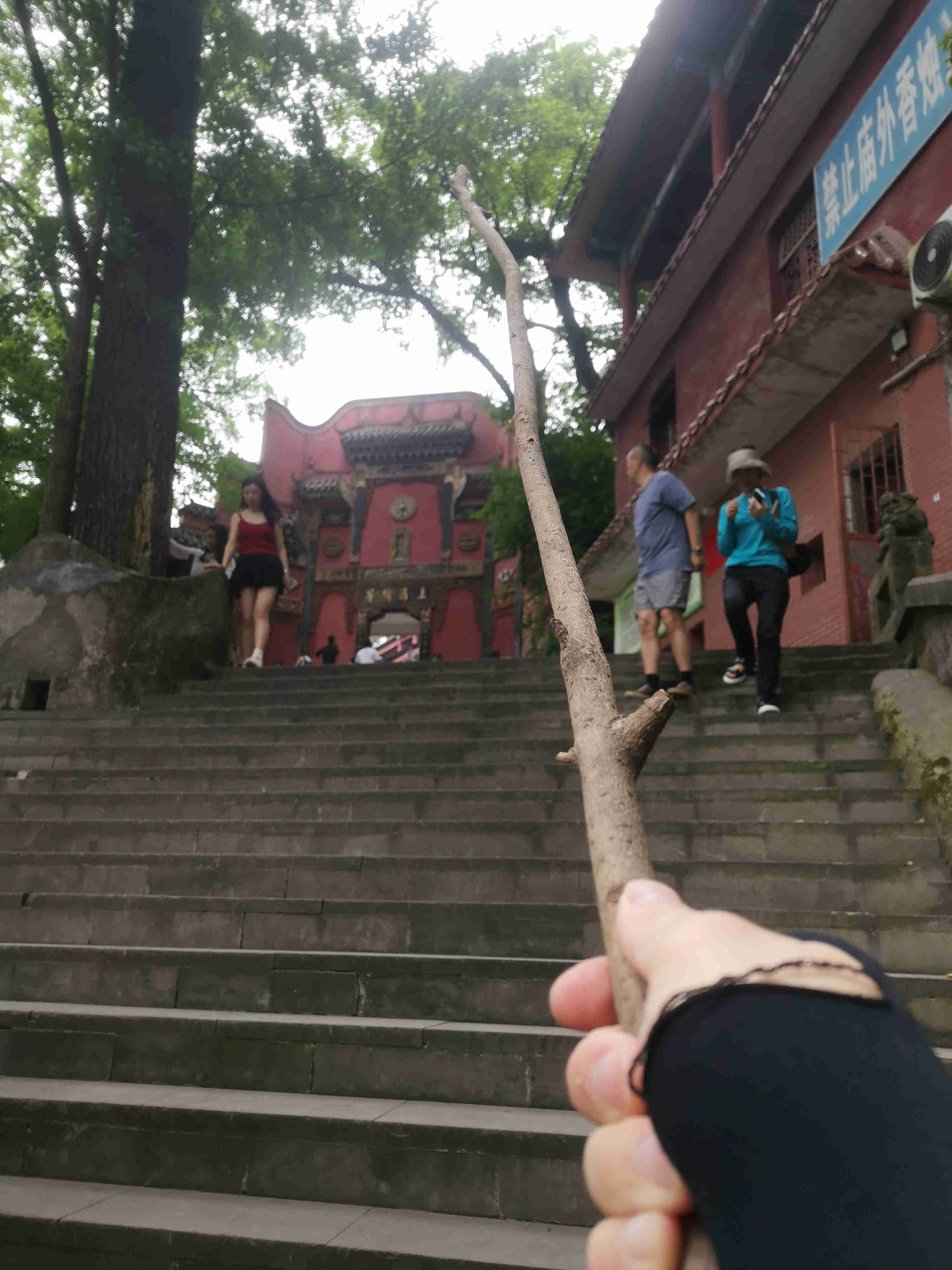 路上捡到的细细长长的树枝